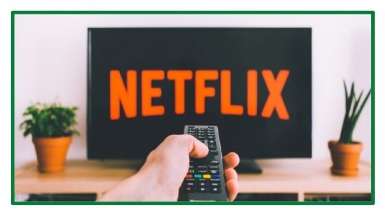 Netflix Mobile Game