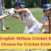Grade 1 English Willow Cricket Bats