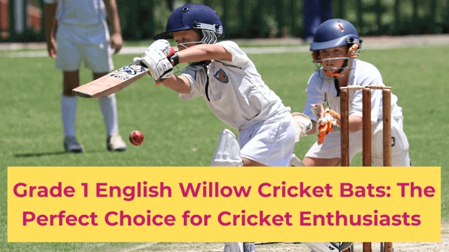 Grade 1 English Willow Cricket Bats